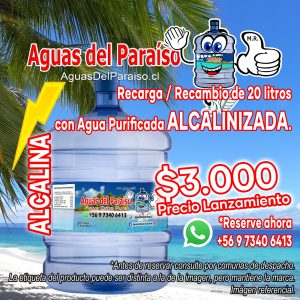 ⚡ALCALINA⚡ Recarga / Recambio